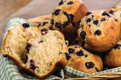 Sourdough Blueberry Muffins Recipe Image